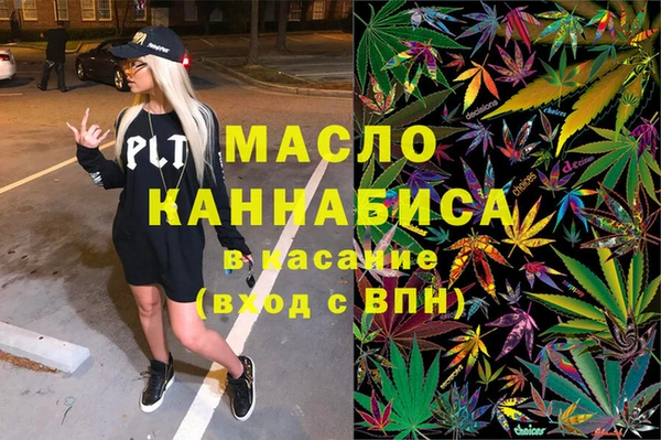 хмурый Дмитров