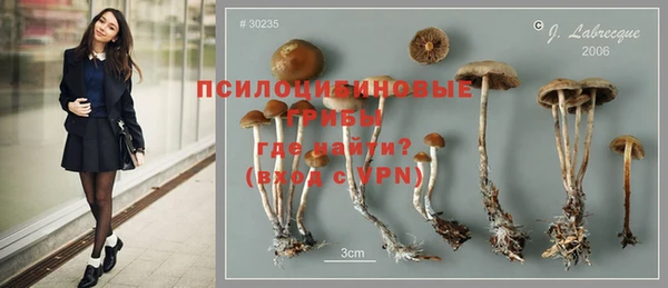 крисы Дмитриев