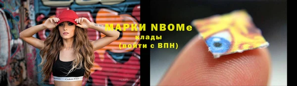 хмурый Дмитров