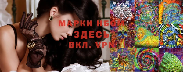 крисы Дмитриев