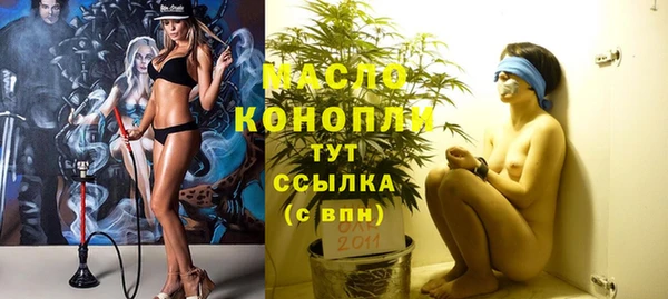 хмурый Дмитров