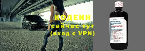 хмурый Дмитров